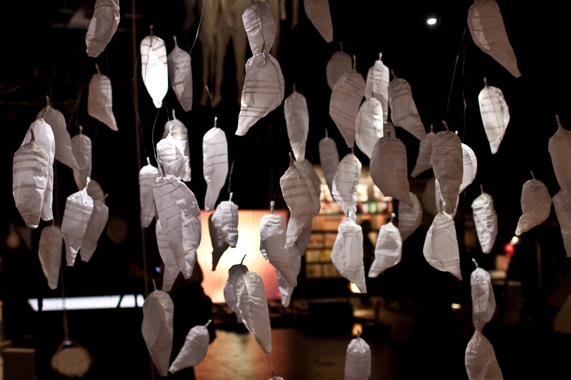 carls foto af inst.transform